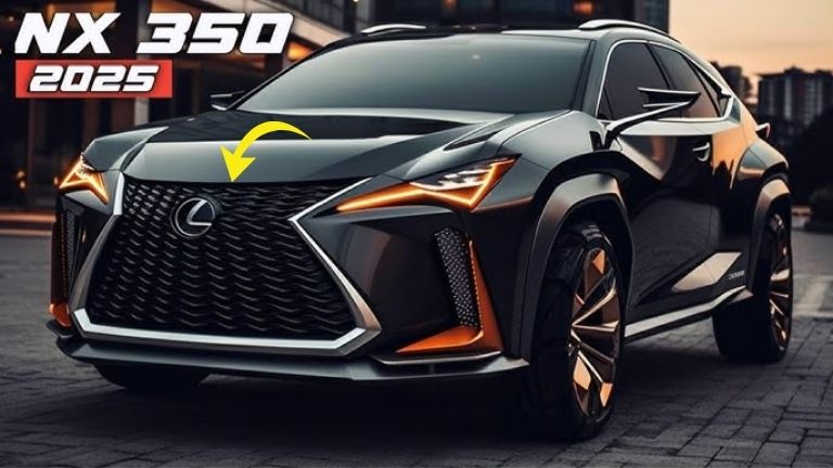 NX 350